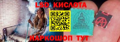 ГАЛЛЮЦИНОГЕННЫЕ ГРИБЫ Сланцы