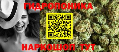 a pvp Славгород