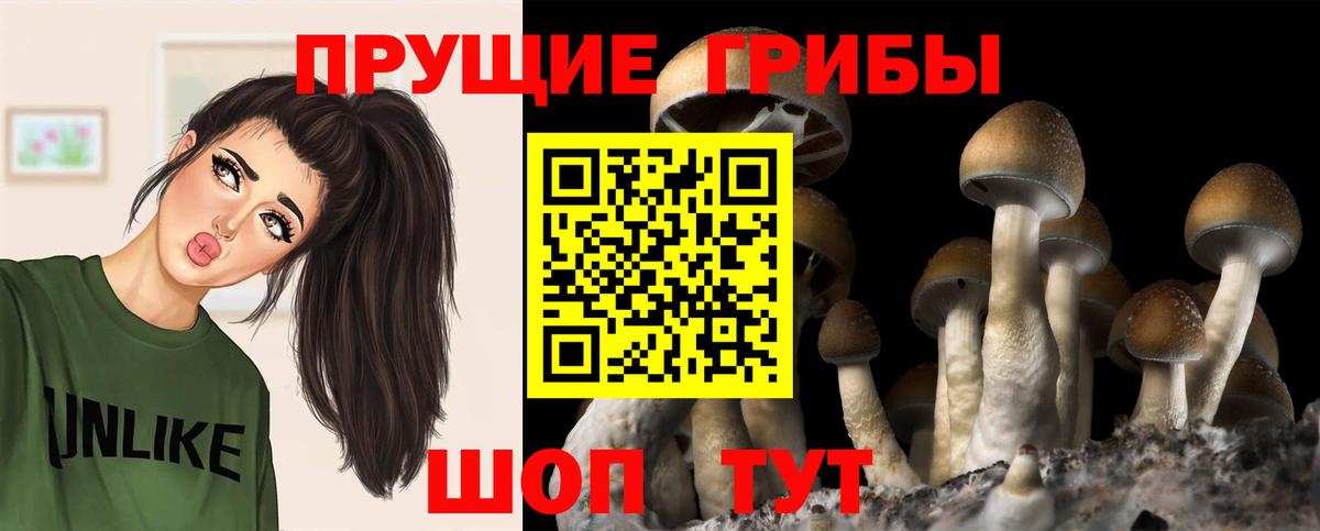 Белово  Псилоцибиновые грибы ЛСД  Вход с VPN 